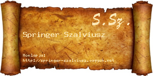 Springer Szalviusz névjegykártya